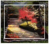 Tapestry Throws