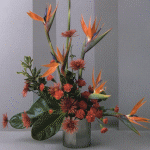 arrangement 201