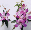 Elegant trimmings are designed with the tailored styling of garden flowers.